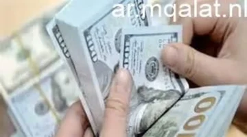 تحديثات الصرف.. سعر الدولار مقابل الجنيه في البنوك المصرية بتعاملات الأحد 8 فبراير